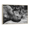 Obraz w ramie 100x70 - Potęga Afryki - czarno biała fotografia, zbliżenie na postać nosorożca - rama drewno