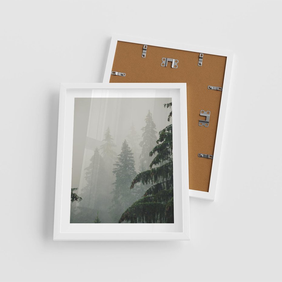 Plakat w ramie 40x50 - Mglista przemiana lasu - las, mgła - rama biała