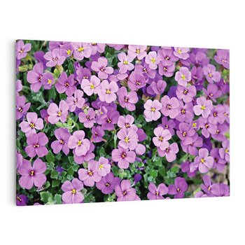 Obraz na płótnie 70x50 - Kwiatowa poezja w pastelowych odcieniach - kwiat, kwiaty