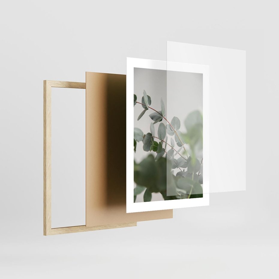 Plakat w ramie 30x40 - Liście eukaliptusa w naturze - eukaliptus, liście - rama drewno