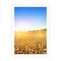 Plakat bez ramy 21x30 - Żyzne Pola - pole, pszenicy