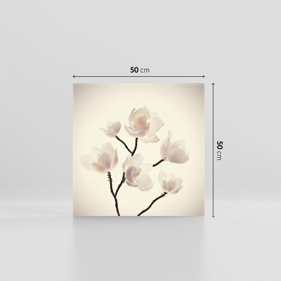 Obraz na płótnie 50x50 - Elegancja Natury - magnolia, białe
