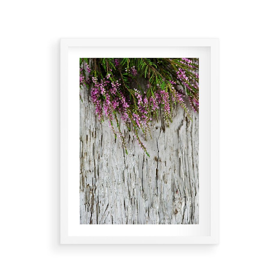 Plakat w ramie 30x40 - Fioletowe Wrzosy - wrzosy, fiolet - rama biała