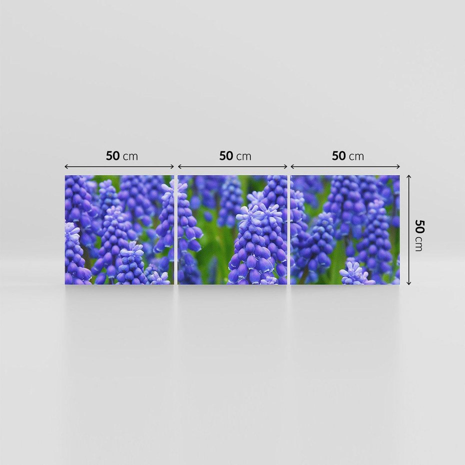 Obraz na płótnie 150x50 - Urok Lawendy - lawenda, kwiat