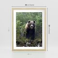 Plakat w ramie 40x50 - Spotkanie z Niedźwiedziem w Lesie - niedźwiedź, las - rama drewno