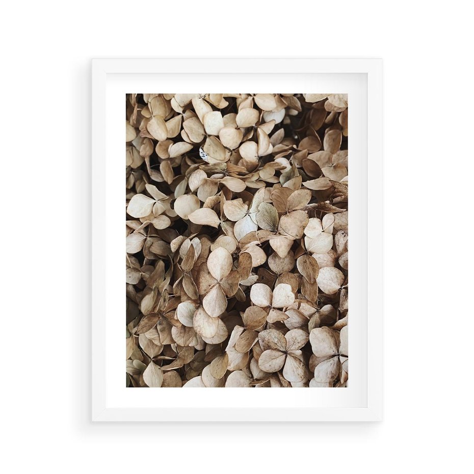 Plakat w ramie 40x50 - Delikatność Hortensji: Kompozycja Kwiatów w Beżu - hortensja, odcienie beżu - rama biała