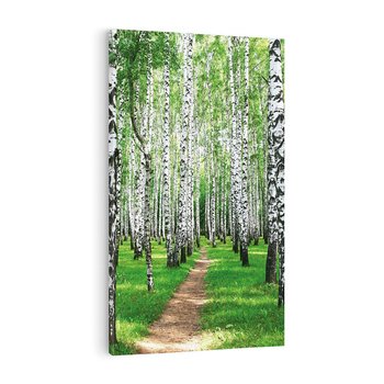 Obraz na płótnie 80x120 - Bajkowy las pełen brzóz - las, brzozy