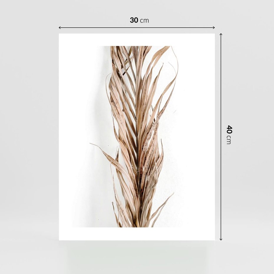 Plakat bez ramy 30x40 - Minimalizm Palmowy: Sucha Uroda - sucha palma, minimalizm