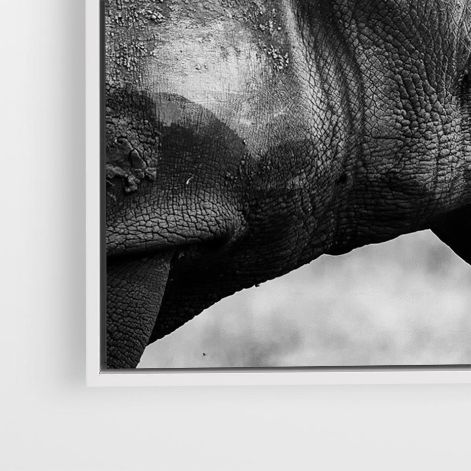 Obraz w ramie 120x80 - Potęga Afryki - czarno biała fotografia, zbliżenie na postać nosorożca - rama biała