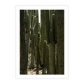 Plakat bez ramy 30x40 - Wyjątkowy Klimat Boho - kaktusy, pustynia