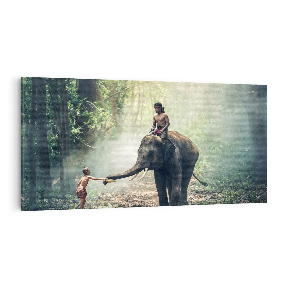 Obraz na płótnie 100x50 - Mistyfikacja w azjatyckim lesie - Azja, słoń