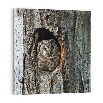 Obraz na płótnie 60x60 - Tajemniczy W świecie Nocy - sowa, dziupla