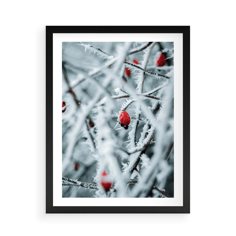 Plakat w ramie 50x70 - Zima na Gałęziach - zima, oszronione gałęzie - rama czarna
