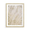 Plakat w ramie 50x70 - Białe Trawy Pampas - suche trawy, białe trawy - rama drewno