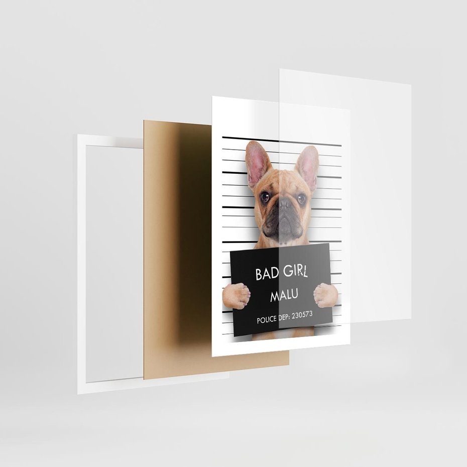 Plakat w ramie 50x70 - przyjaciel na zawsze - pies, piesek - rama biała