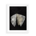 Plakat w ramie 50x70 - Obce Powidoki - abstrakcyjna ćma, mroczna atmosfera - rama biała
