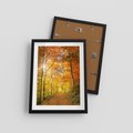 Plakat w ramie 30x40 - Złote barwy jesiennego lasu - las, jesień - rama czarna