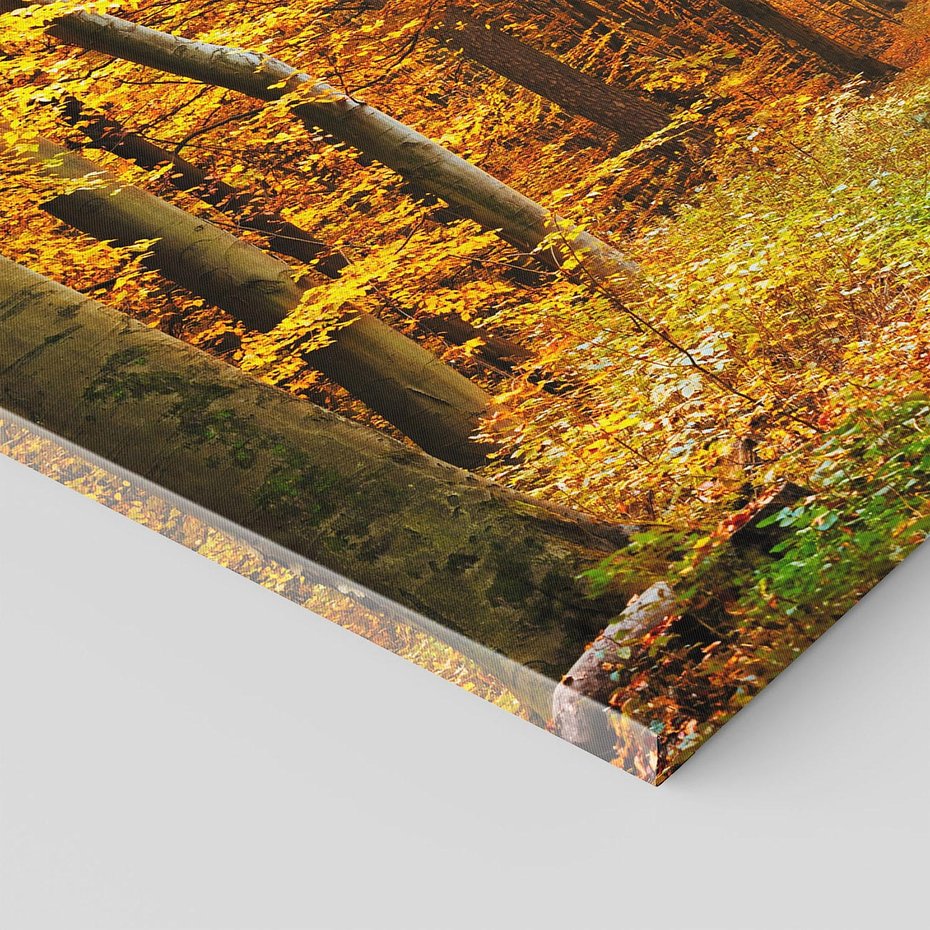 Obraz na płótnie 120x80 - Jesień w lesie - las, drzewa