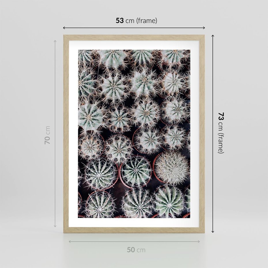 Plakat w ramie 50x70 - Wzór Kaktusów - kaktusy w doniczkach, ujęcie z góry - rama drewno