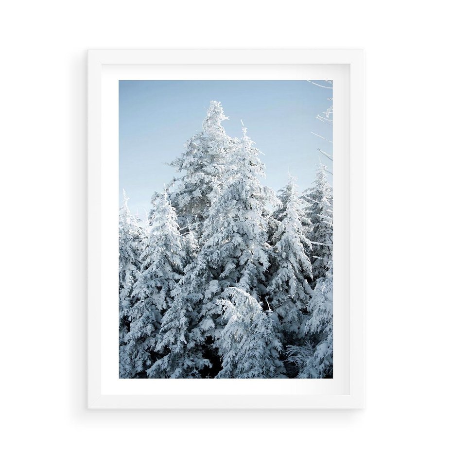 Plakat w ramie 50x70 - Magia Śnieżnych Drzew - zima, iglaste drzewa - rama biała