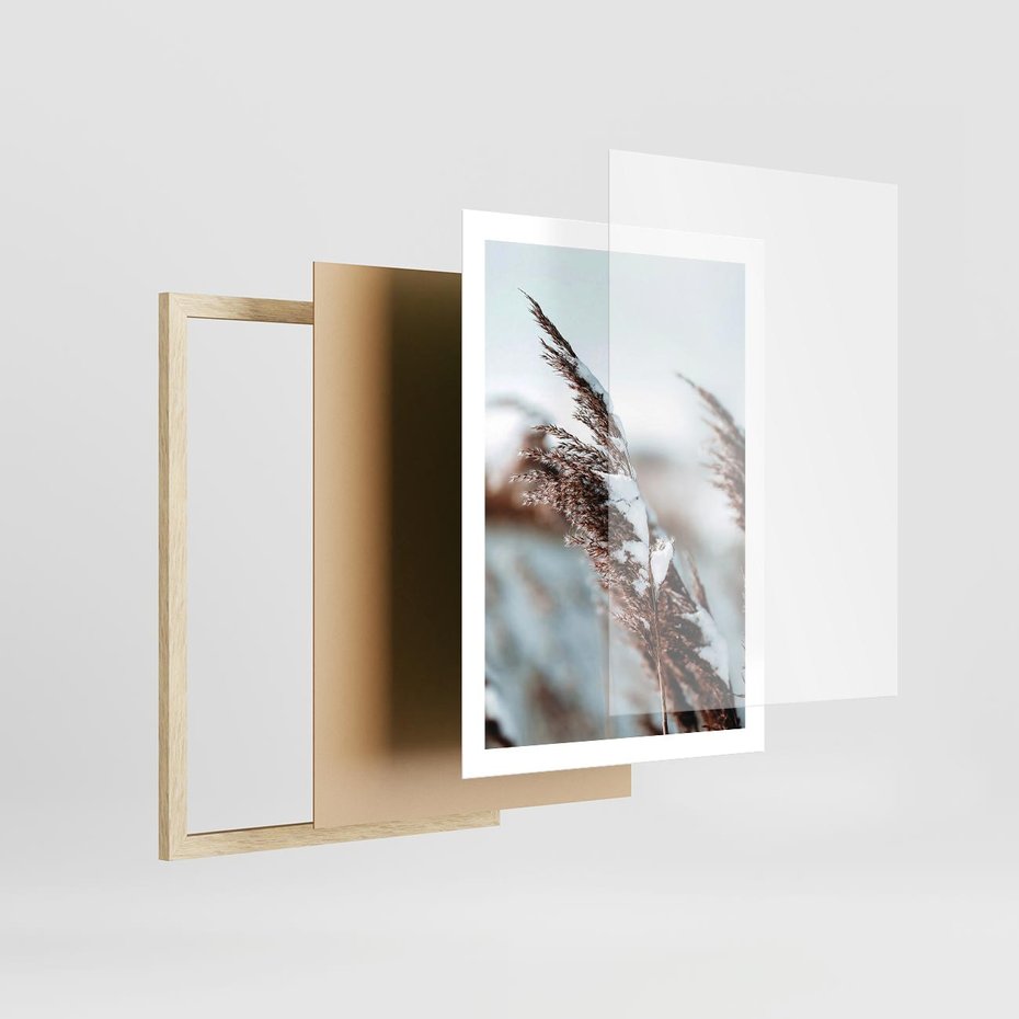 Plakat w ramie 50x70 - Zima na Suchych Trawach - suche trawy, śnieg wysokich na trawach - rama drewno