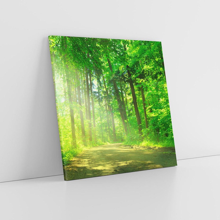 Obraz na płótnie 40x40 - Urok lasu na drodze - las, drzewa