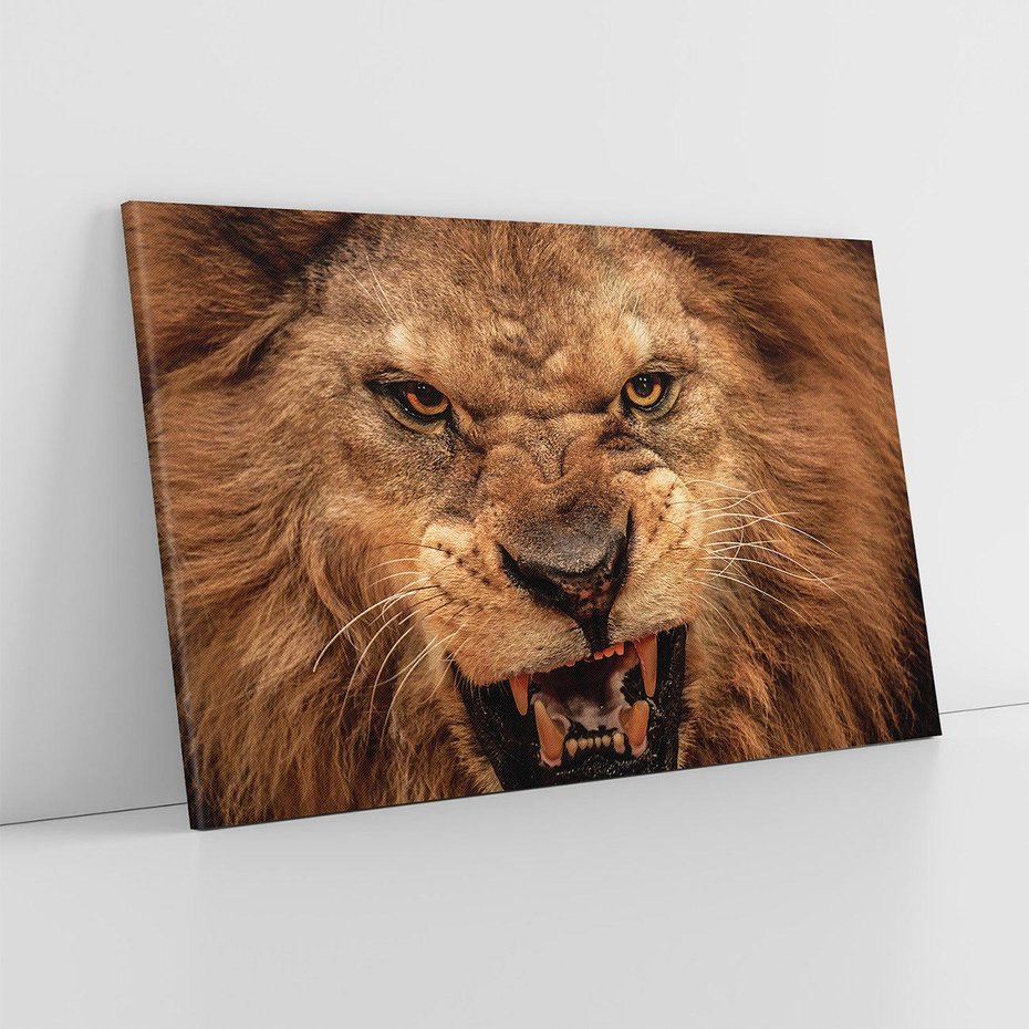 Obraz na płótnie 100x70 - Władca Sawanny - lew, sawanna