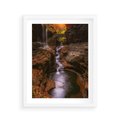 Plakat w ramie 40x50 - Barwna Harmonia - strumień, las - rama biała