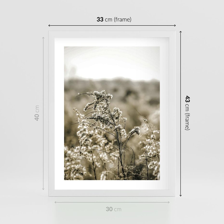 Plakat w ramie 30x40 - Pampas i Bocho - suche trawy, bocho - rama biała