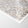 Plakat bez ramy 21x30 - Białe Drobne Kwiaty - gipsówka, białe drobne kwiatki
