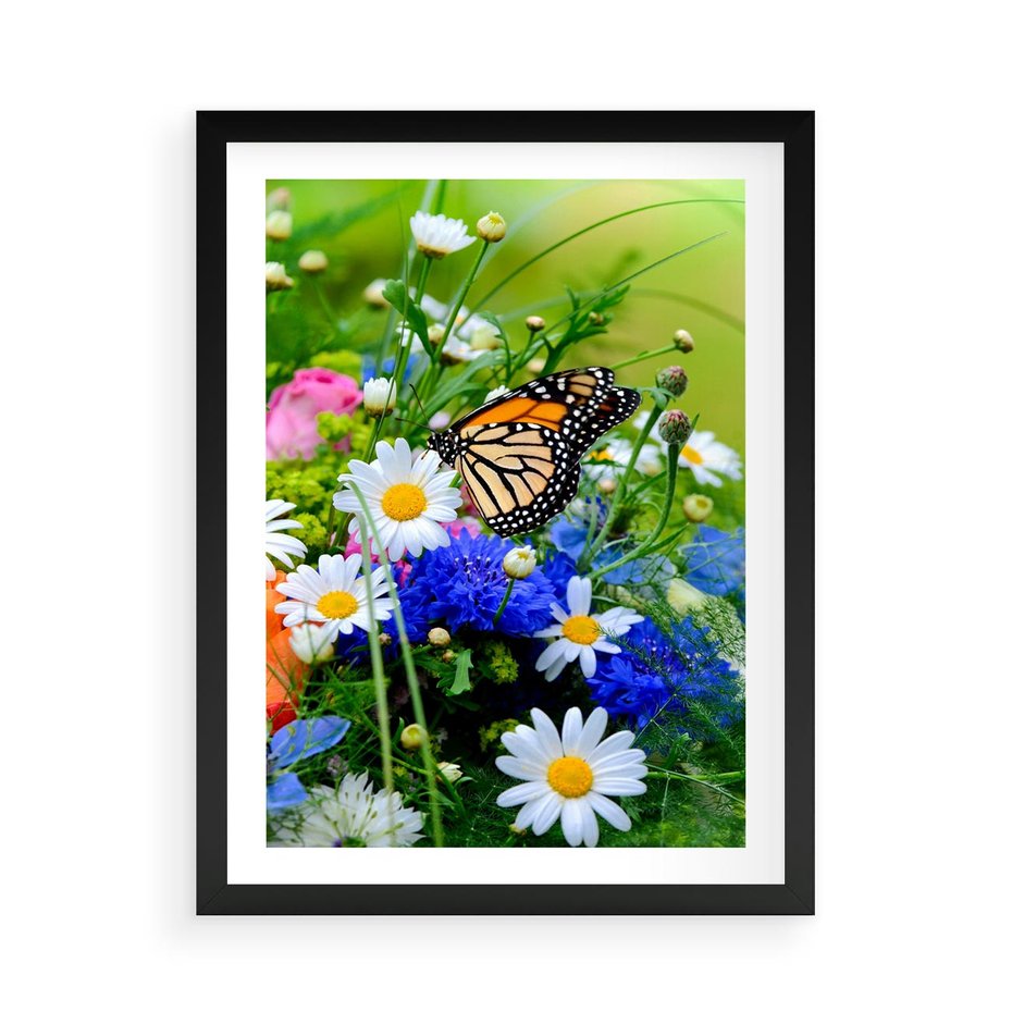 Plakat w ramie 50x70 - Kwiatowy Taniec - motyl, kwiaty - rama czarna