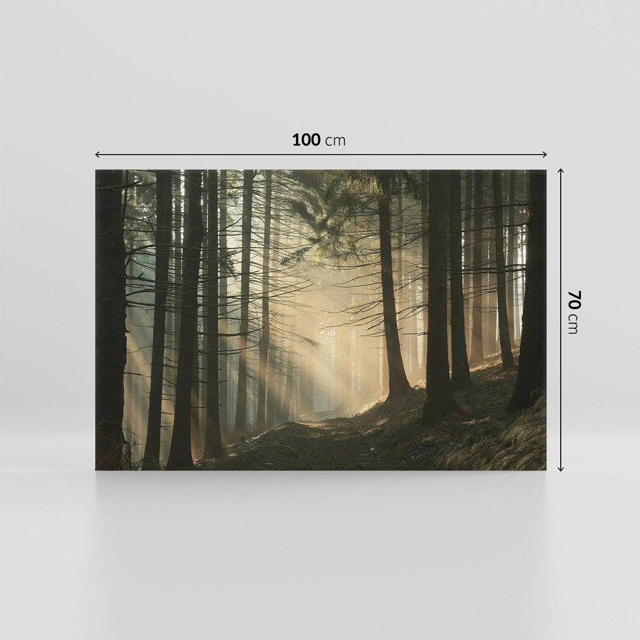 Obraz na płótnie 100x70 - Urok lasu: drzewa w pełnej okazałości - las, drzewa