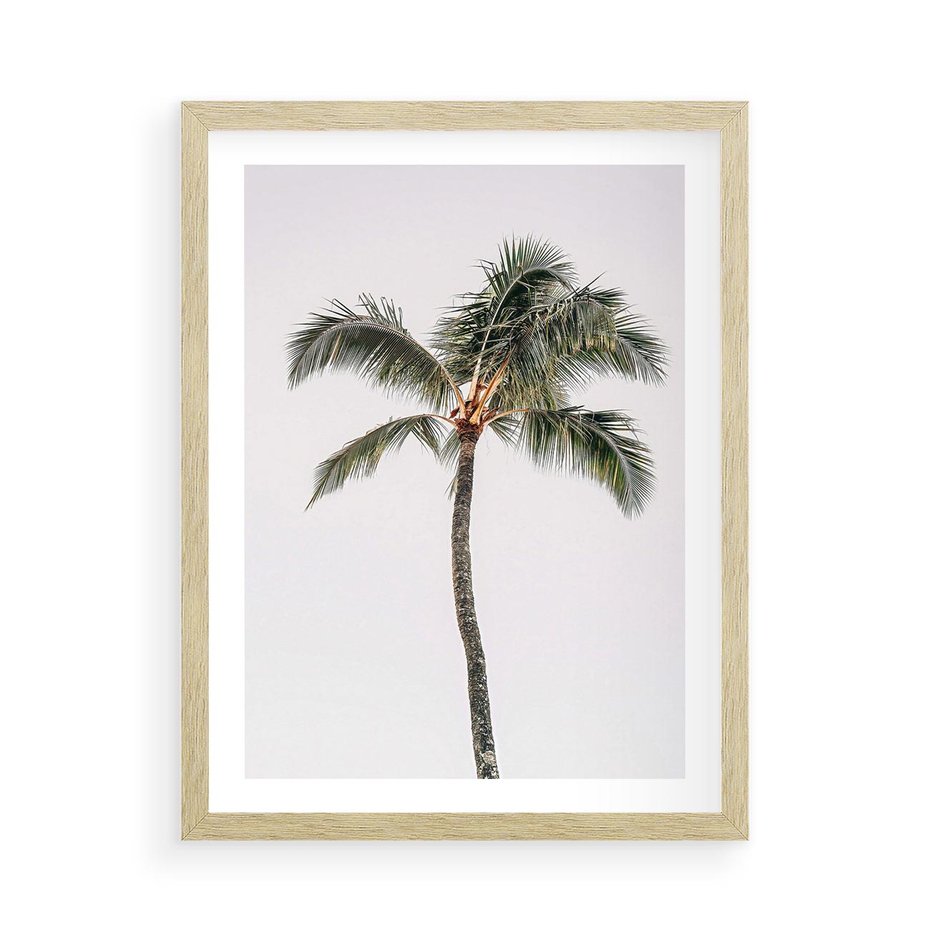 Plakat w ramie 50x70 - Wakacyjne Marzenia - palma na tle nieba - rama drewno
