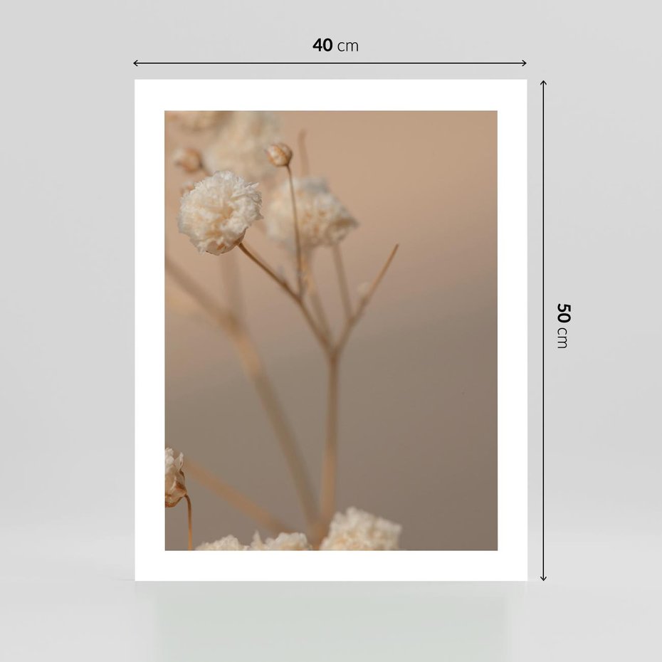 Plakat bez ramy 40x50 - Subtelna gipsówka - gipsówka, suche