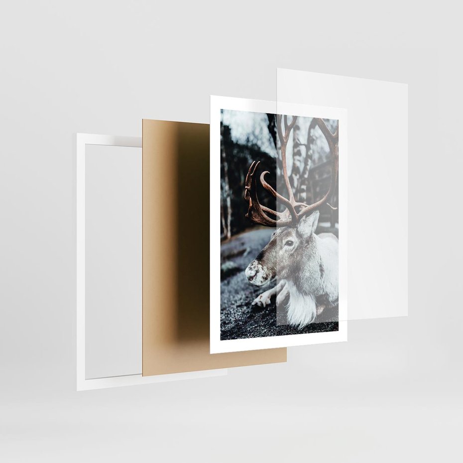 Plakat w ramie 50x70 - W Zimowej Krainie - renifer, zima - rama biała