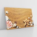 Obraz na płótnie 120x80 - Muszelki na malowniczej plaży - muszle, muszelki