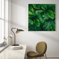 Obraz w ramie 80x80 - Palma Liście Kwiat - palma, liście - rama drewno