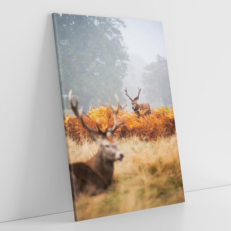 Obraz na płótnie 80x120 - Malownicza Harmonia - jelenie, jesień