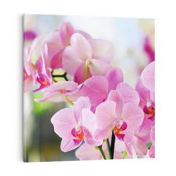 Obraz na płótnie 40x40 - Elegancja orchidei - orchidea, kwiaty