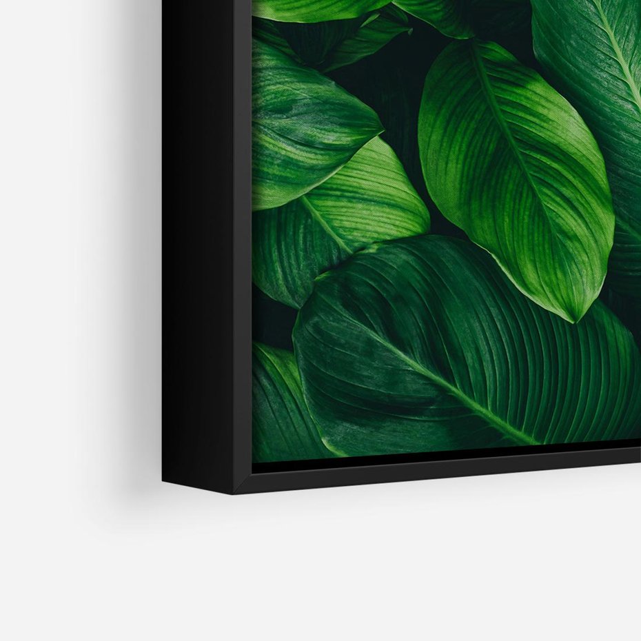 Obraz w ramie 50x50 - Palma Liście Kwiat - palma, liście - rama czarna