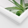 Plakat w ramie 50x70 - Zielone Piękno - aloes, liście - rama biała
