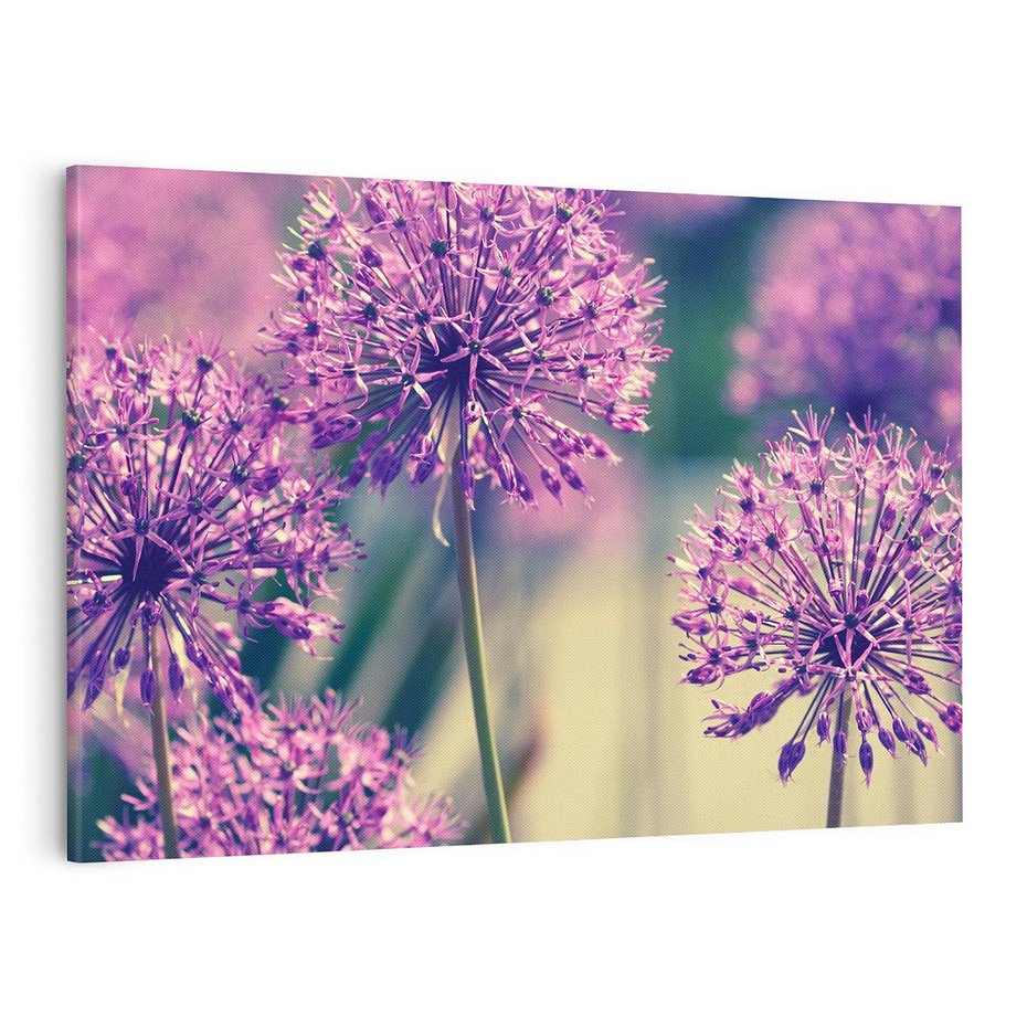 Obraz na płótnie 100x70 - Kwiatowa łąka w pełnym rozkwicie - kwiaty, łąka