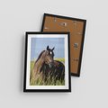 Plakat w ramie 30x40 - Siła i piękno natury - koń, łąka - rama czarna