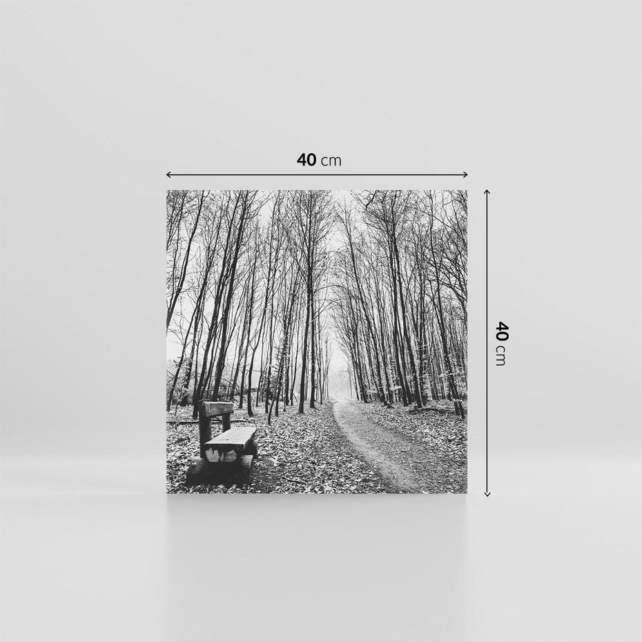 Obraz na płótnie 40x40 - Spadające Liście - czarno białe zdjecie, park