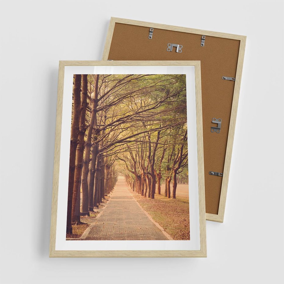 Plakat w ramie 50x70 - Wędrówka między drzewami - droga, drzewa - rama drewno