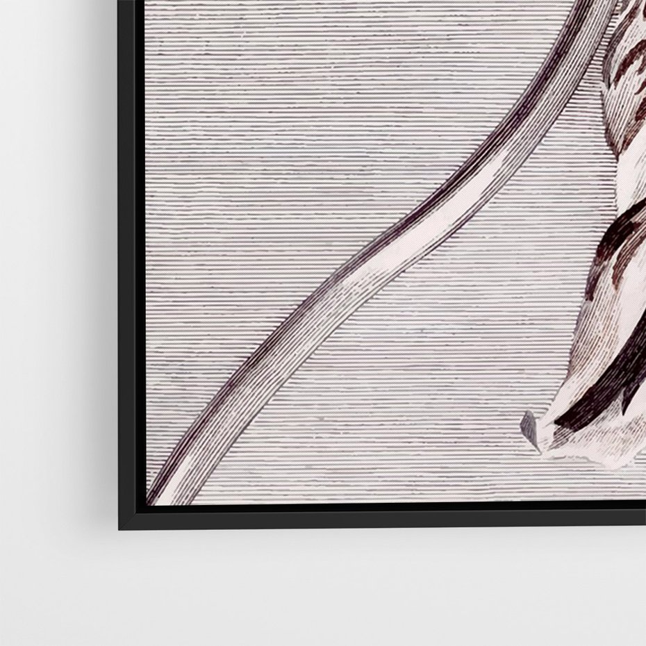 Obraz w ramie 50x70 - Graficzna Elegancja - nowoczesna sztuka, grafika - rama czarna