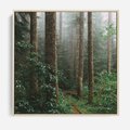 Obraz w ramie 80x80 - Mgliste Marzenia - artystyczna fotografia, las - rama drewno