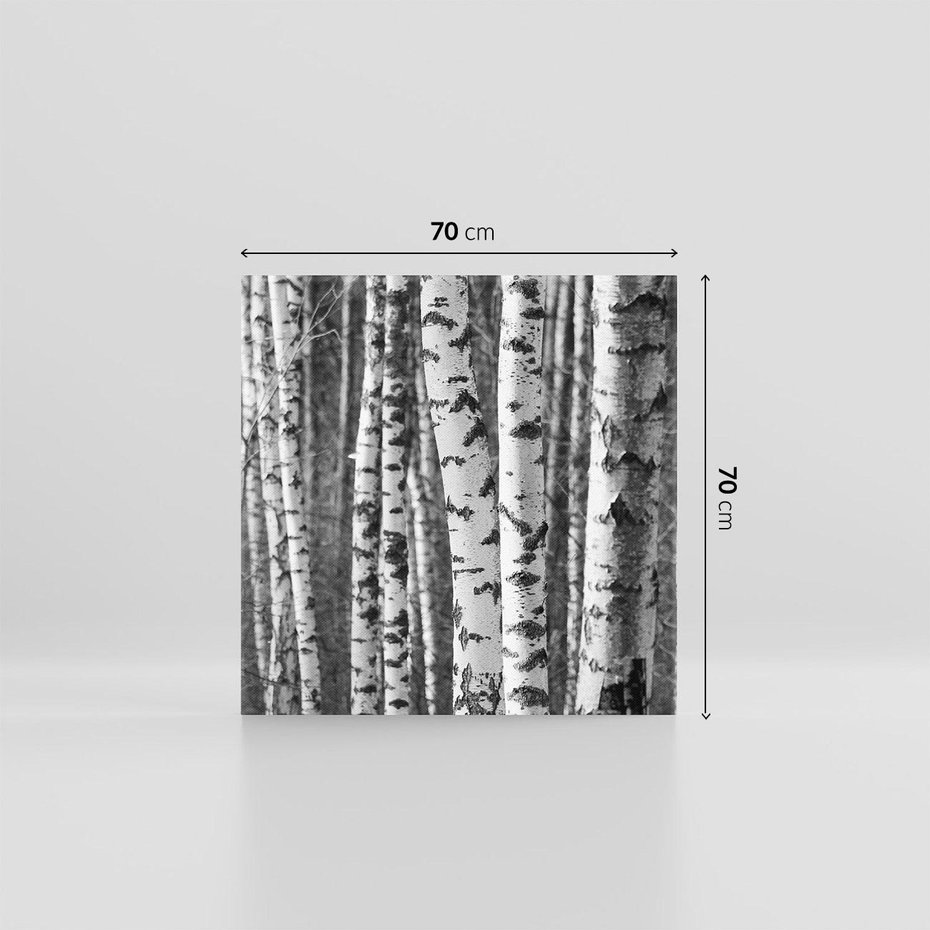 Obraz na płótnie 70x70 - Kontrast Monochromatyczny - brzozy, czarno