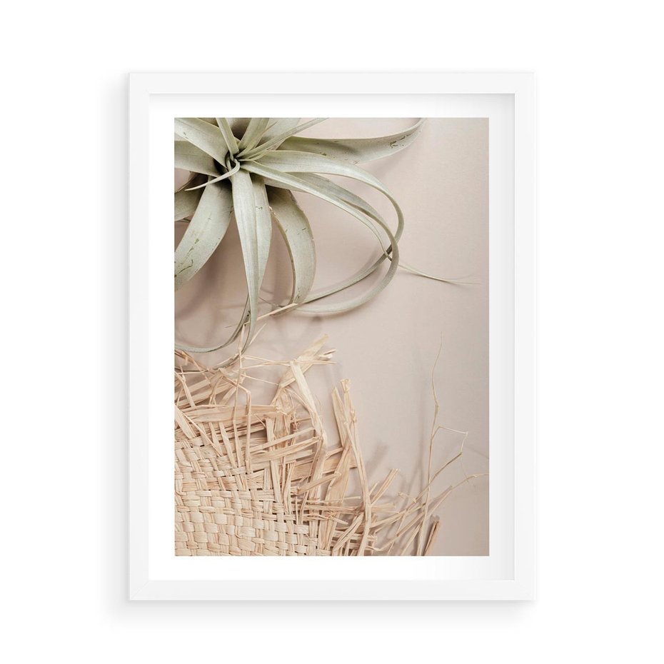 Plakat w ramie 50x70 - Aloes w Stylu Boho - kompozycja, wiklina - rama biała
