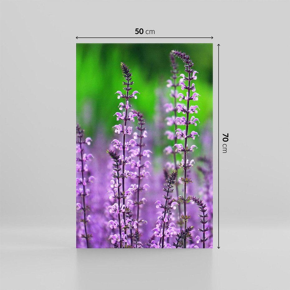 Obraz na płótnie 50x70 - Lawendowy urok - lawenda, kwiaty